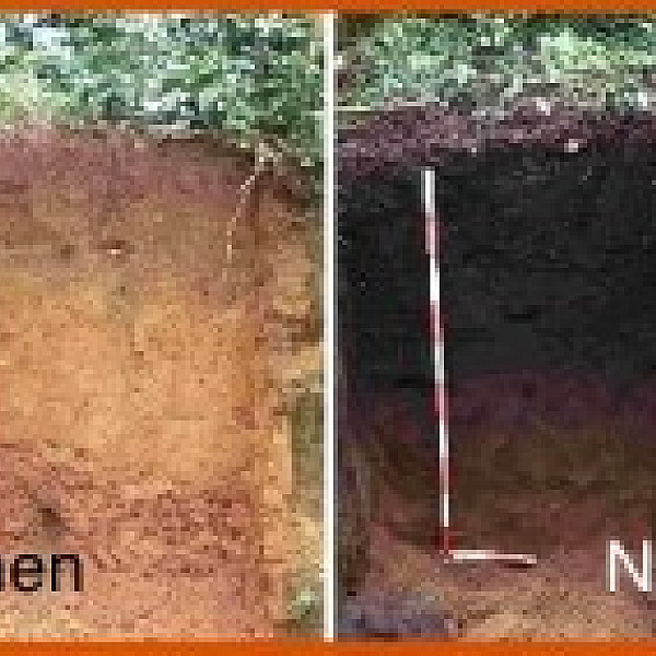 intern request image